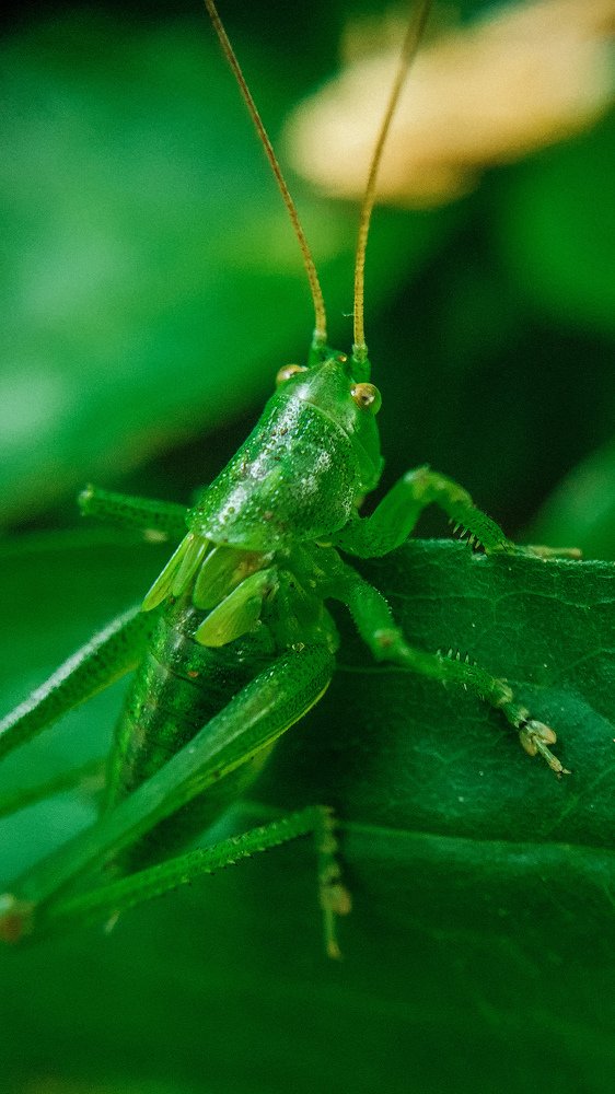 Photograph by Екатерина Фурсова