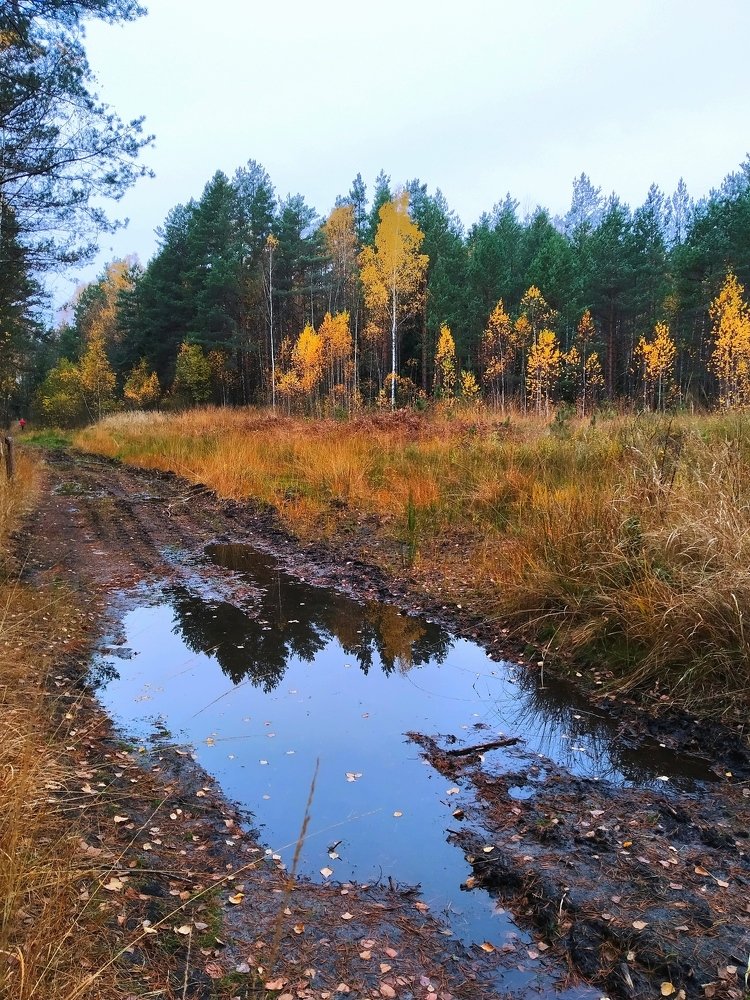 Photograph by Владимир Воложинский