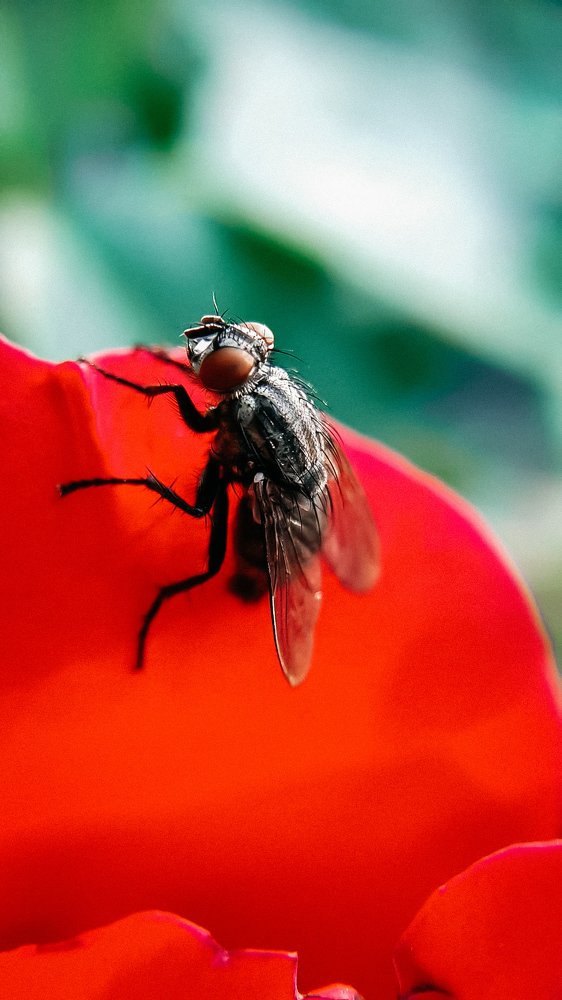 Photograph by Екатерина Фурсова