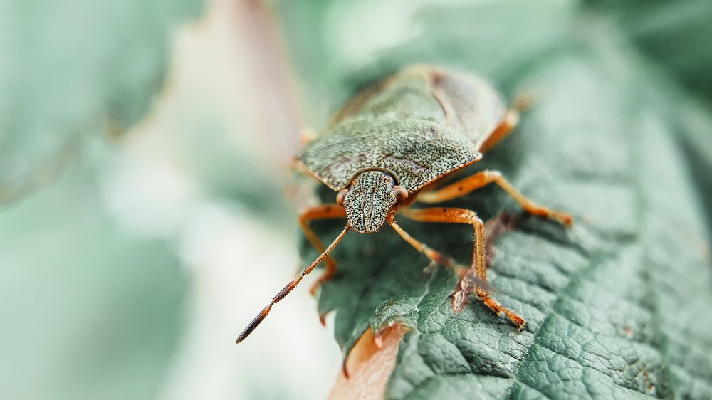 Photograph by Екатерина Фурсова