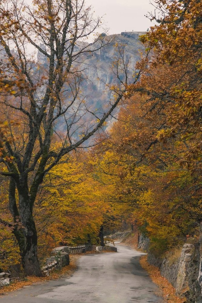 Photograph by Никита