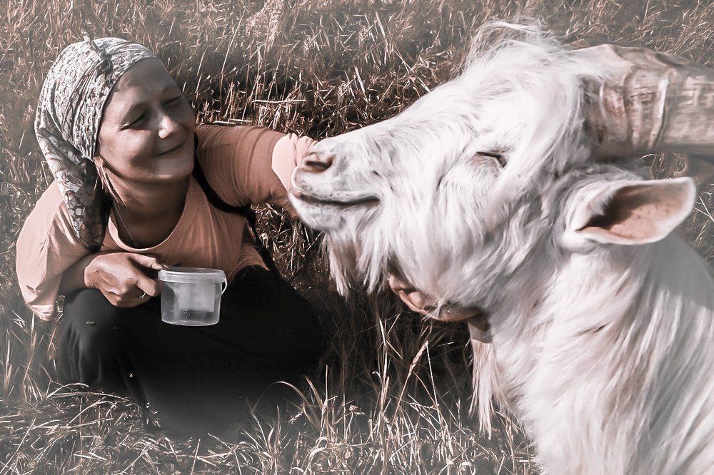 Photograph by Белова Лариса