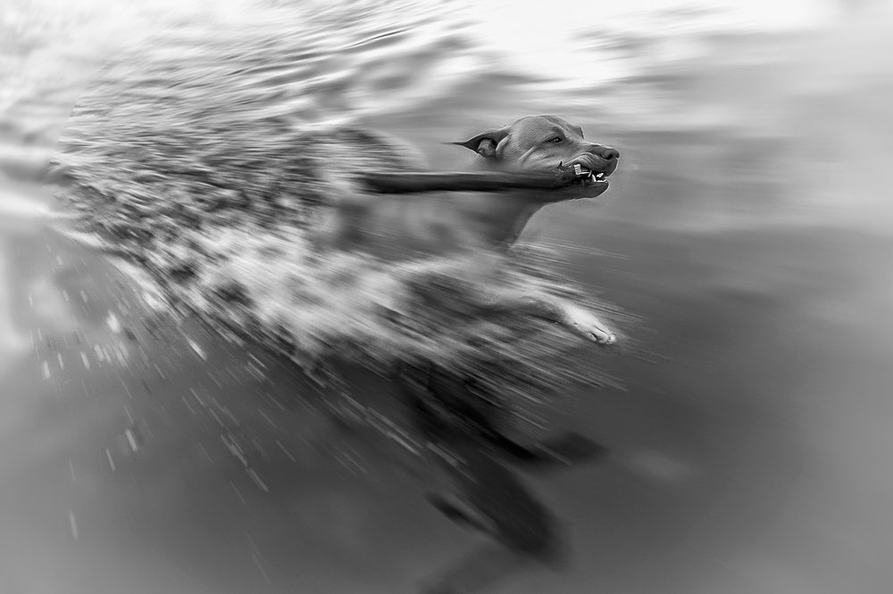 Photograph by Белова Лариса