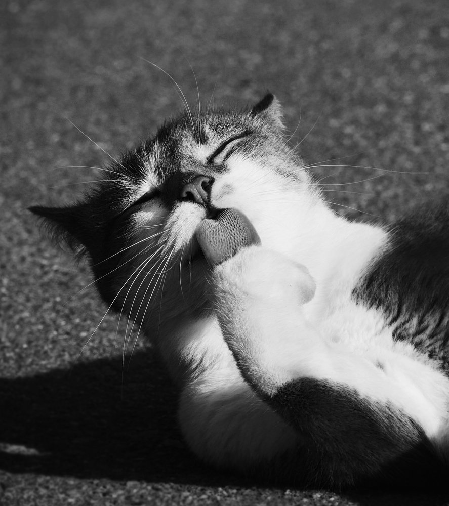 Фотография автора Oксана