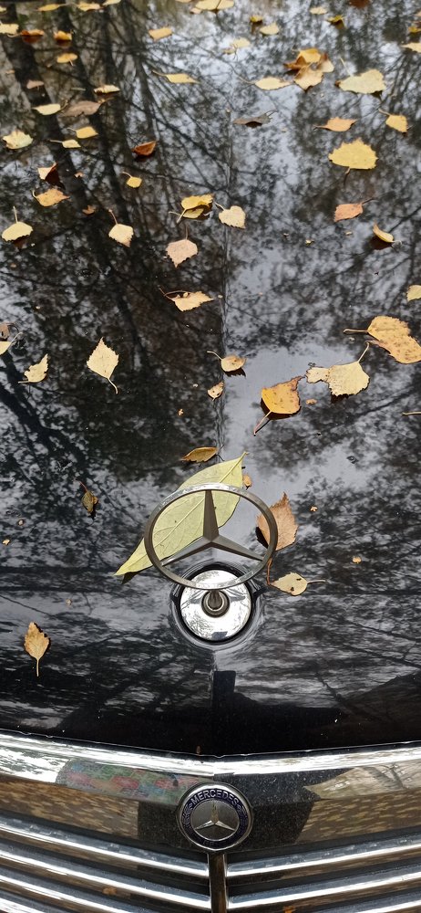 Photograph by Белова Лариса