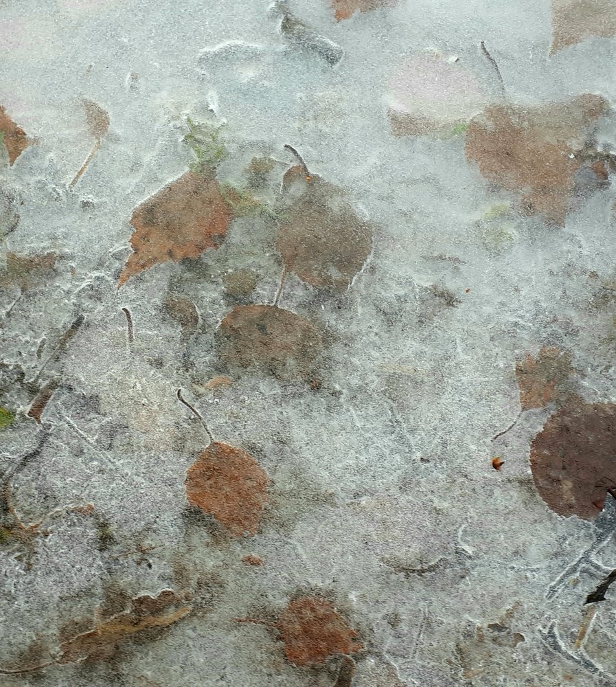 Photograph by Людмила Колеватова