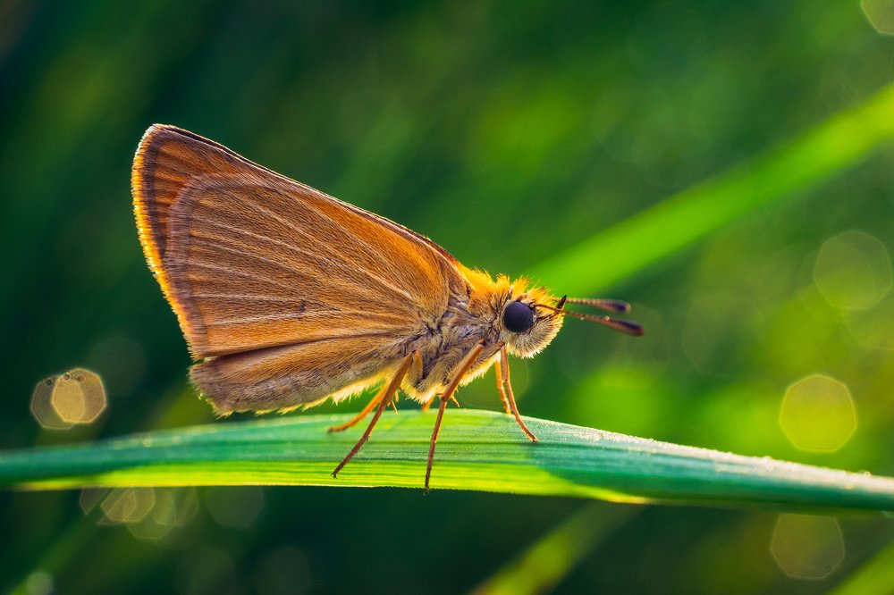 Photograph by Александр