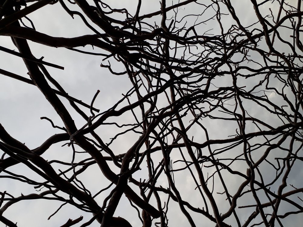 Фотография автора Arina KRAYNOVA