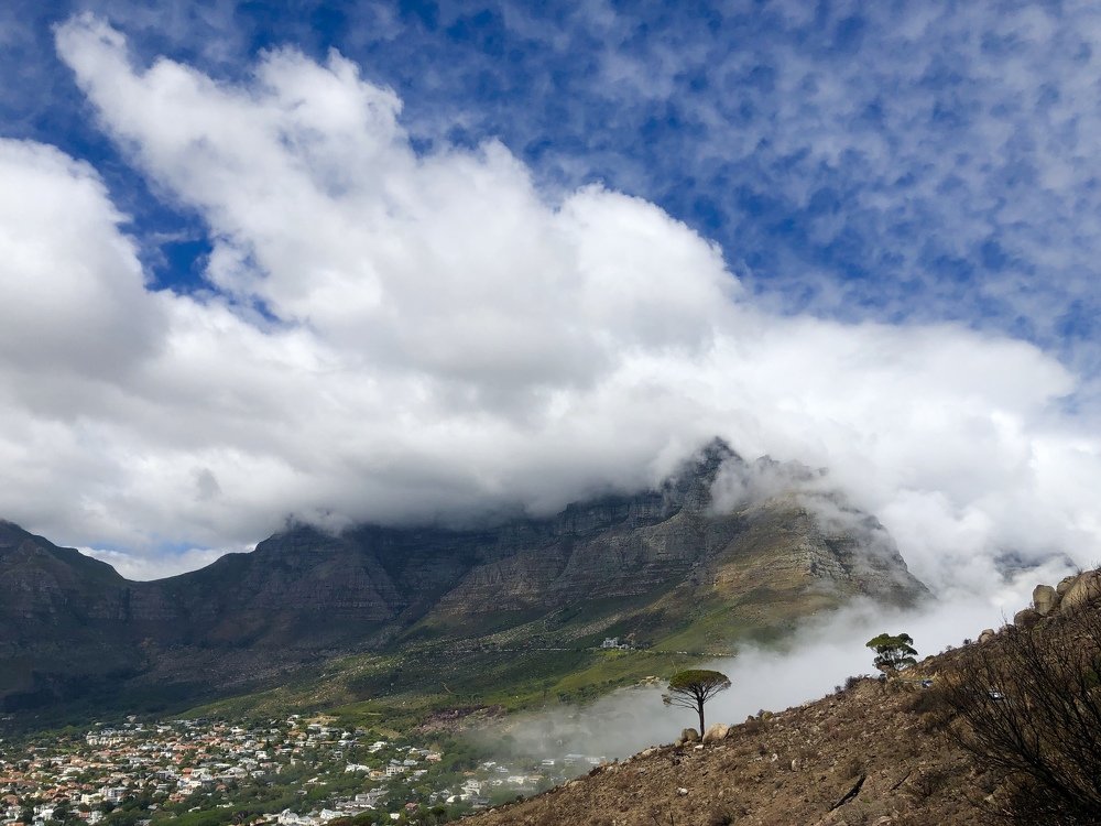 Photograph by Irina Studenyak