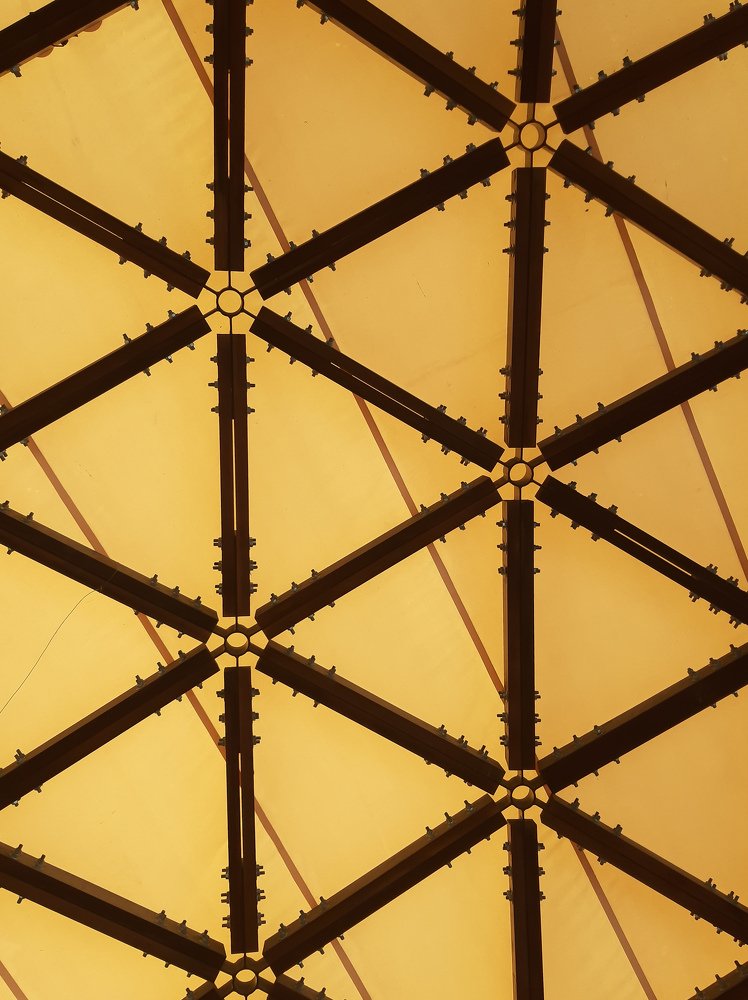 Photograph by Мария Глотова