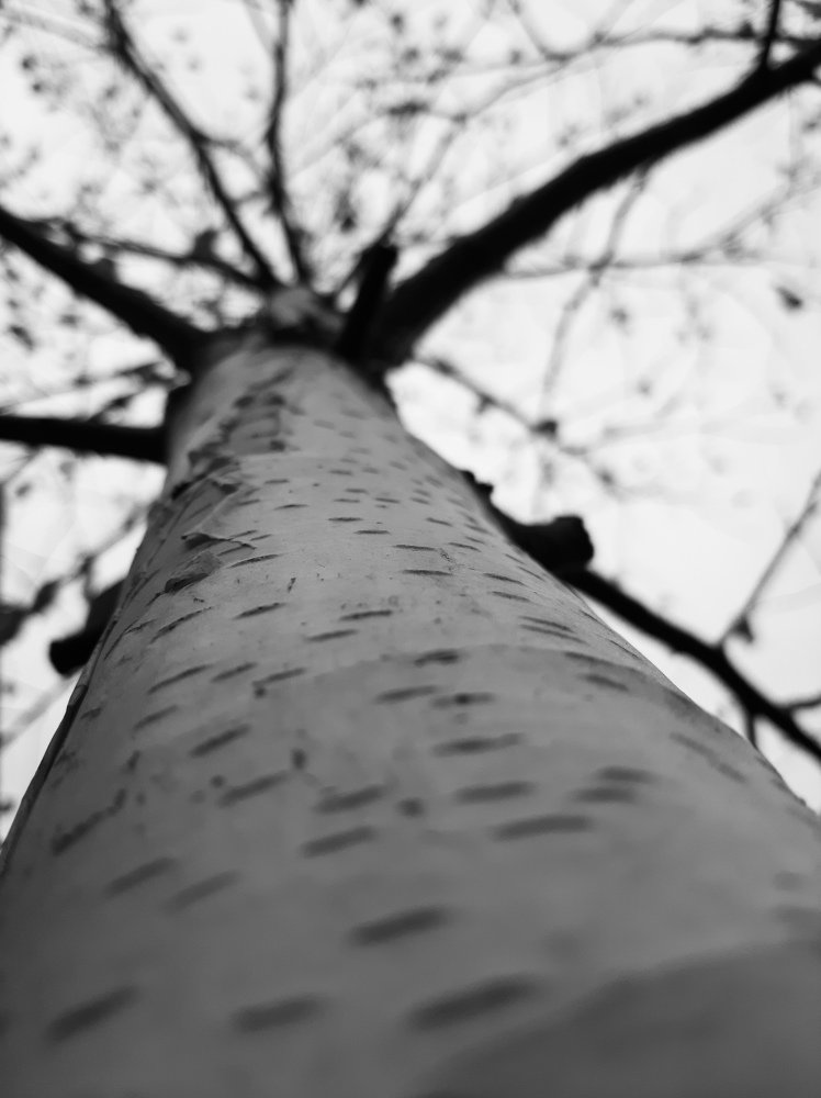 Photograph by Мария Глотова