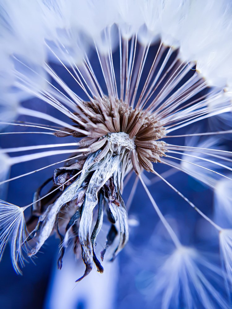 Спокойствие