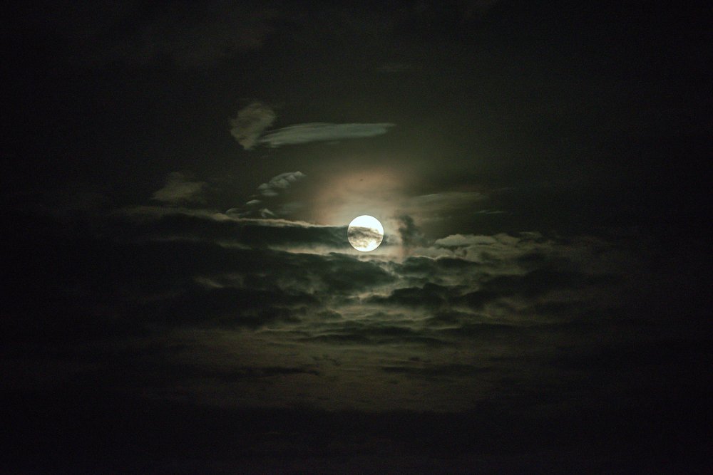 Photograph by Nazmul Hossain