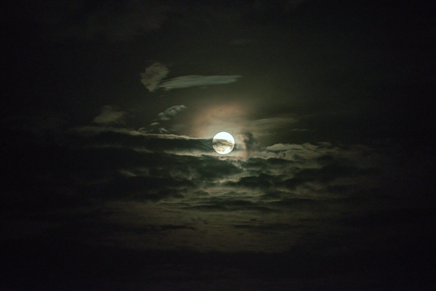 Photo #5194664
