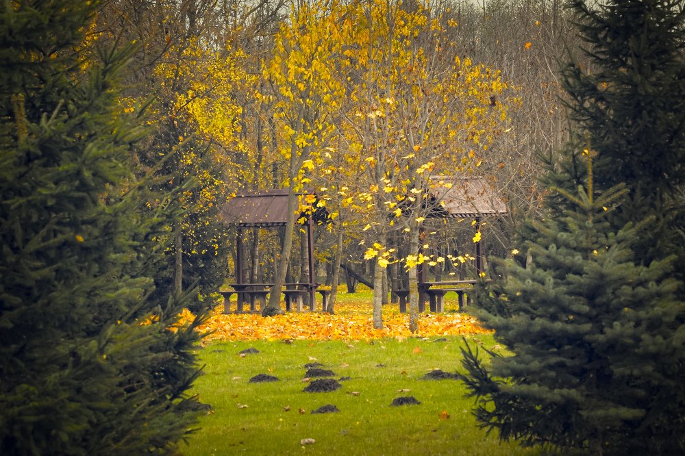 Фотография автора Алексей Гнедчик