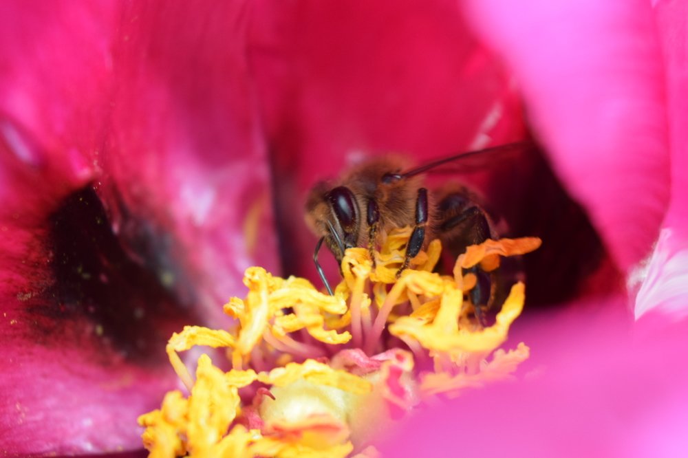 Photograph by Наталья Ткаченко