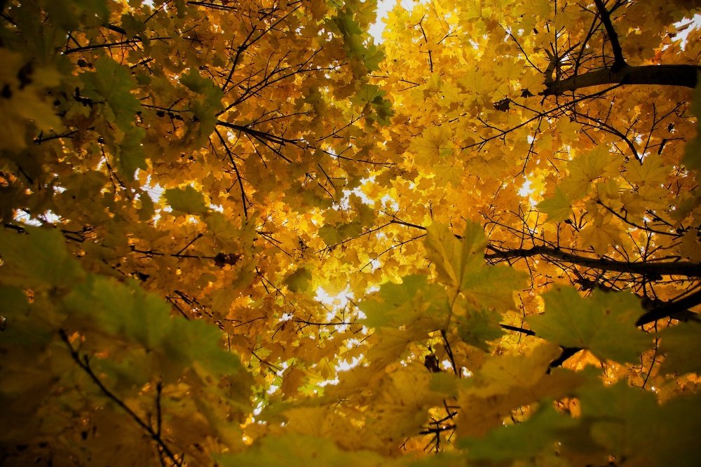 Photograph by Павел Антохин