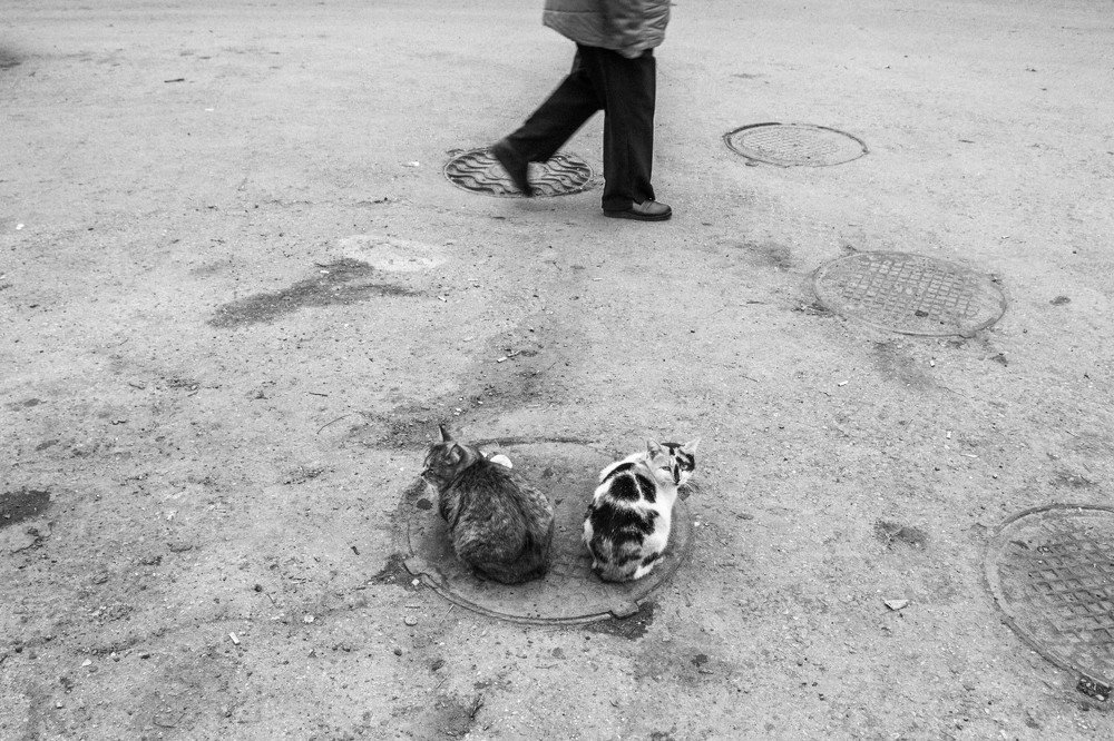 Photograph by Александр