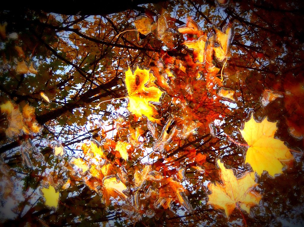 Photograph by Любовь Кочуганова