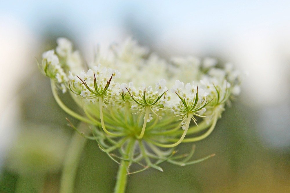 Photograph by Елена Кондратьева