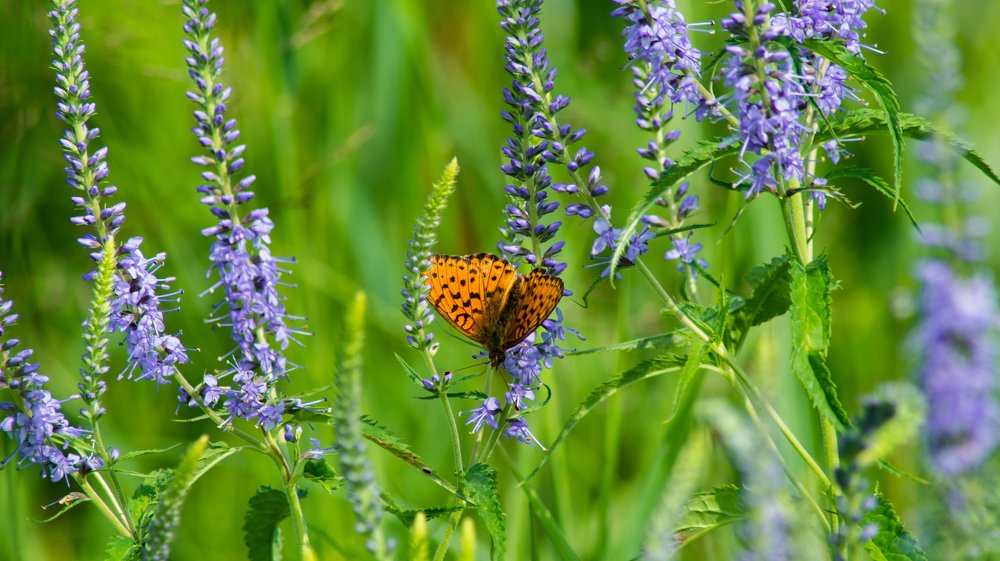 Photograph by Евгений Калагаев