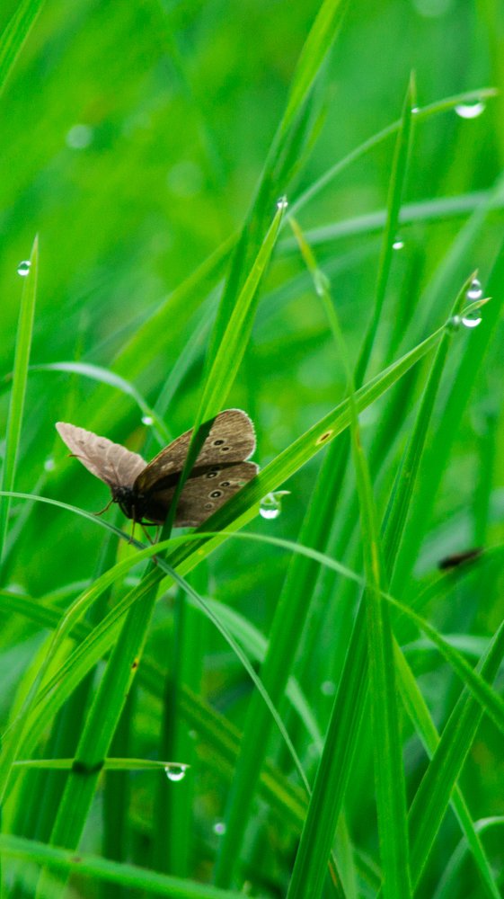 Photograph by Евгений Калагаев