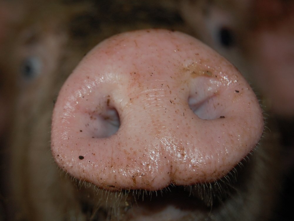 Фотография автора Eimar Kull