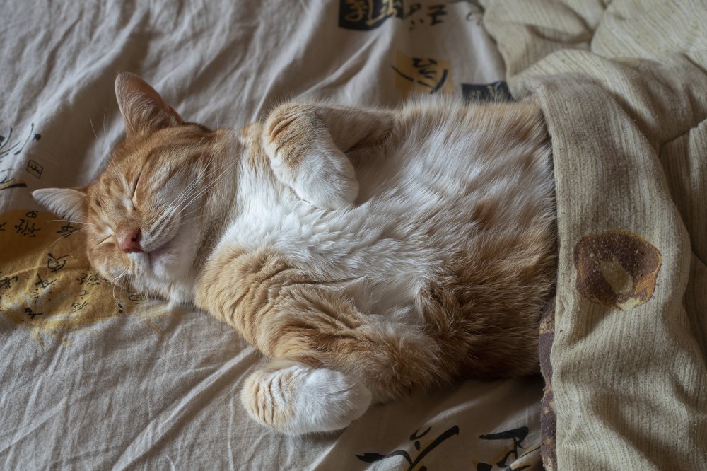 Фотография автора Eimar Kull