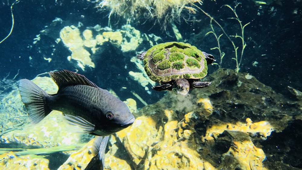 Photograph by Анна Куманцова