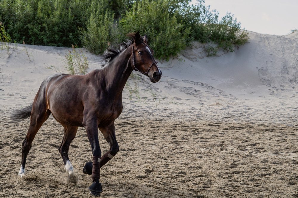 Фотография автора Eimar Kull