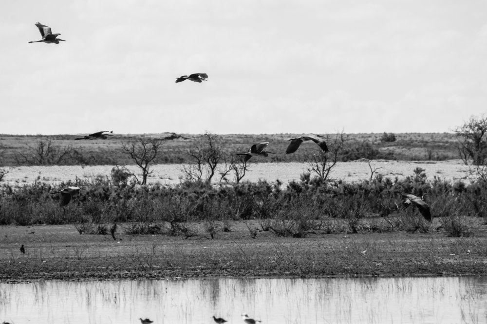 Photograph by Сергей Козлов