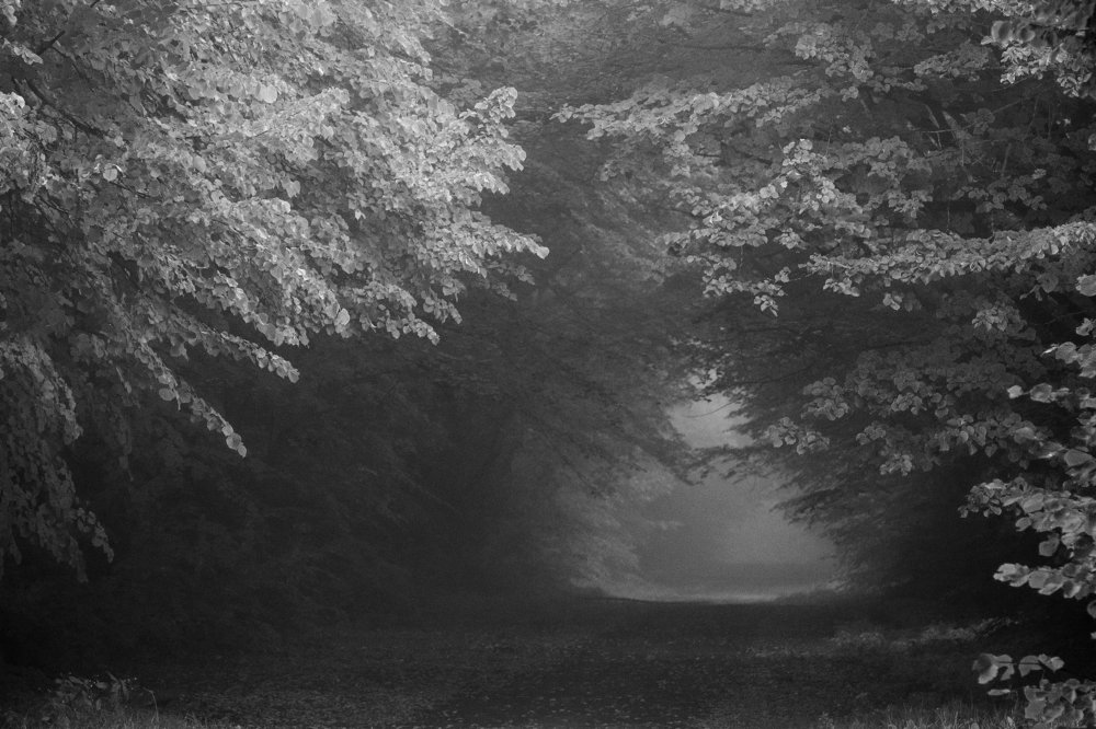 Фотография автора Eimar Kull