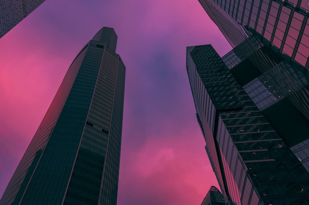 Фотография автора Полина Лебедева