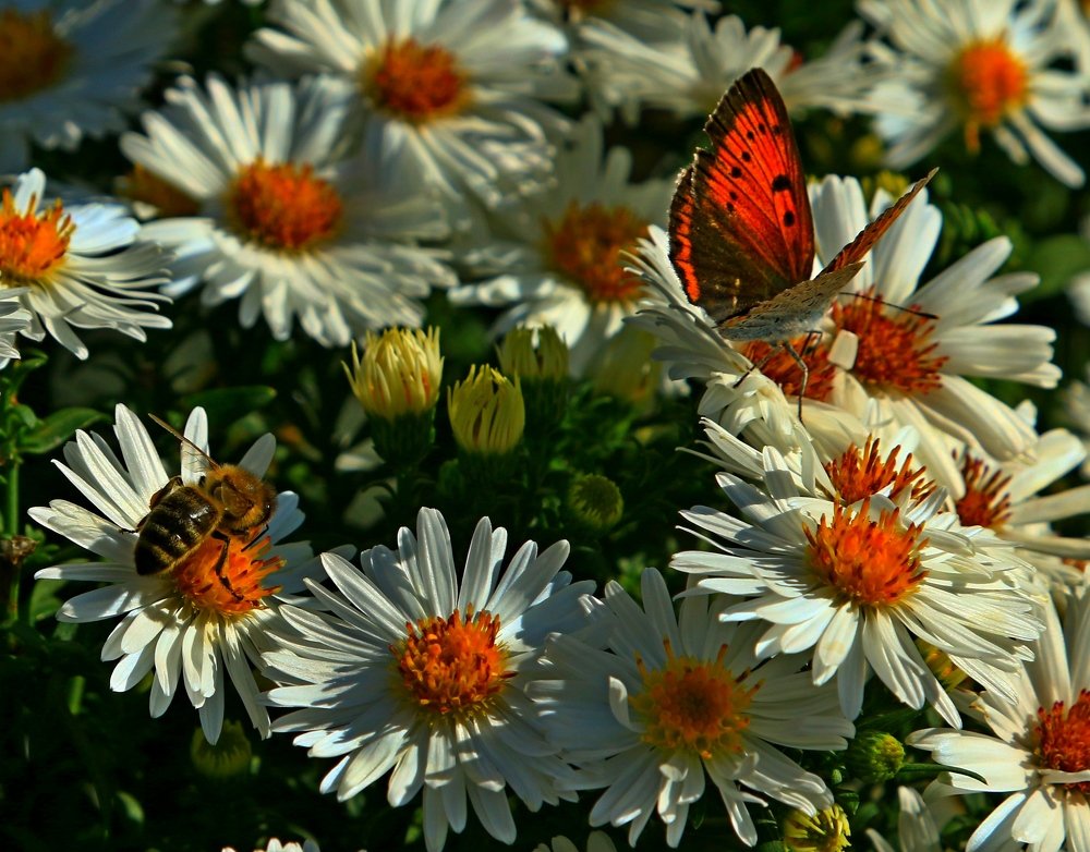 Photograph by Игорь Куленко