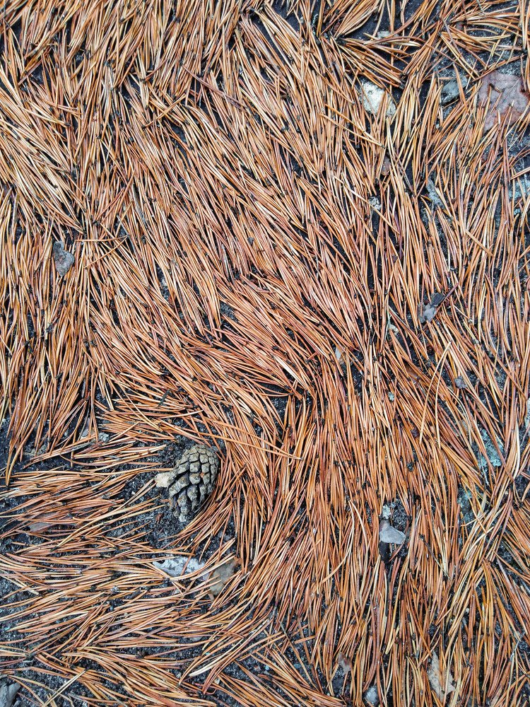 Photograph by Любовь Нефедова