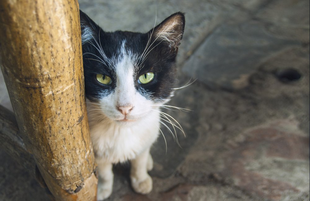 Photograph by Tatevik Tananyan