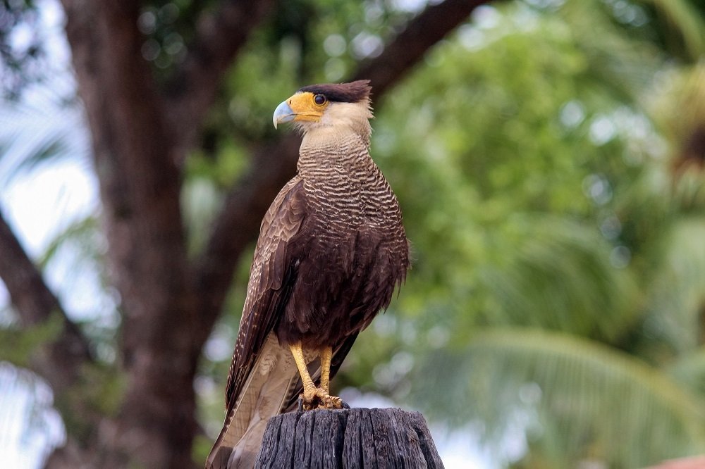 Фотография автора Loredana Sasso