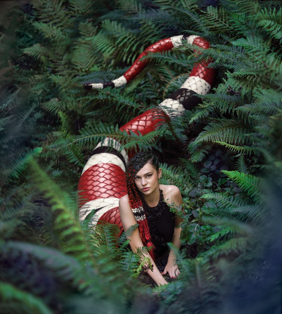 Photograph by Natalie Seitner