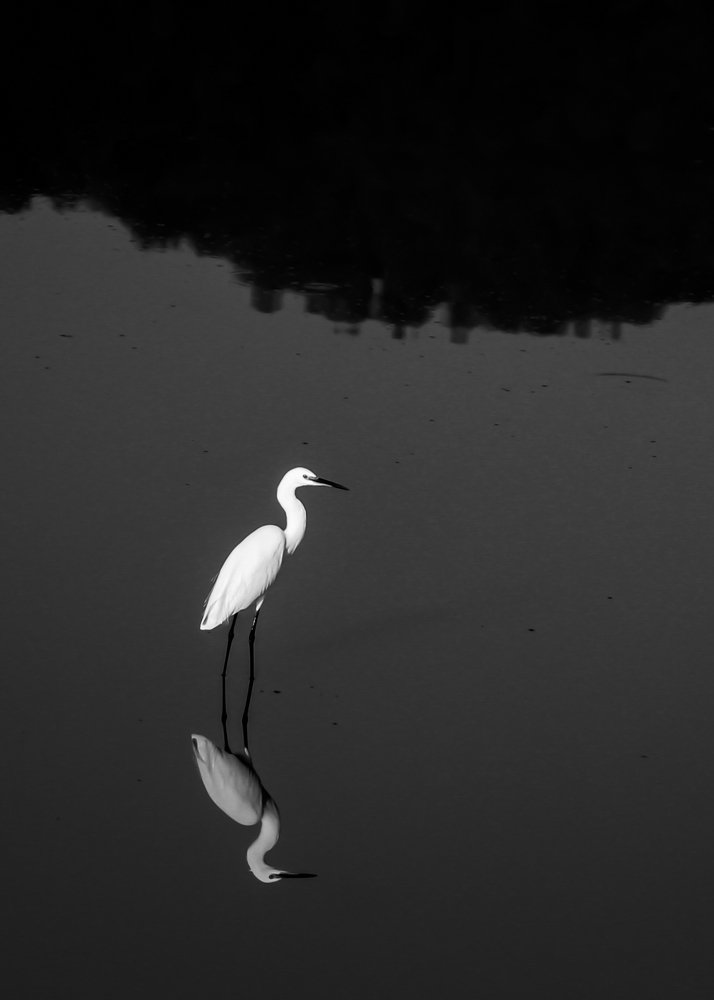Photograph by Saeed Rezazadeh