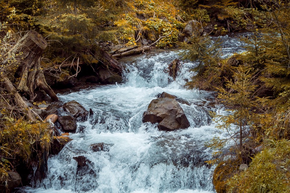 Photograph by Светлана Ветрова