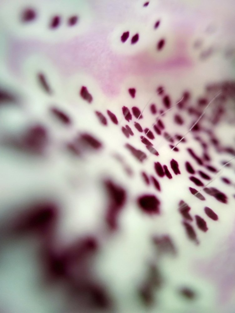 Млечный путь