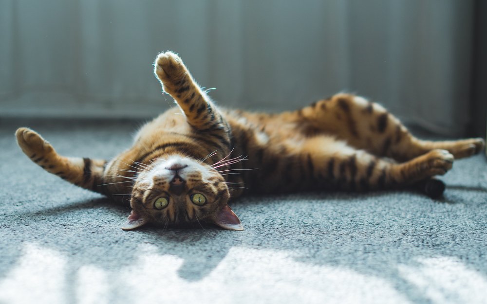 Photograph by Иван Заруднев