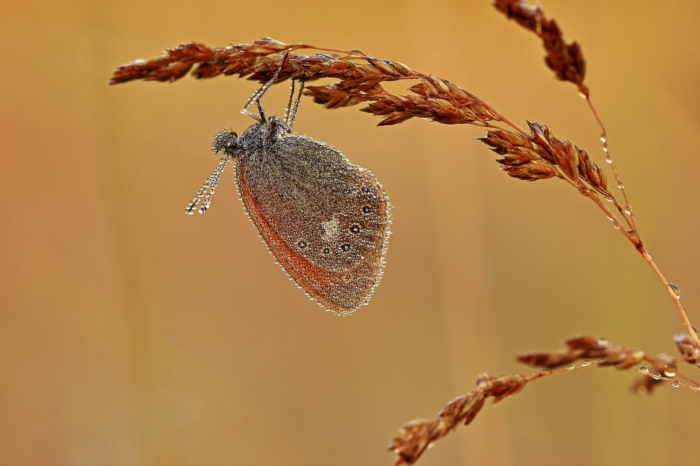 Photograph by Олег Резенов