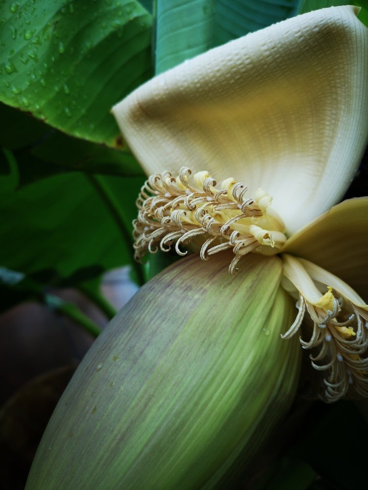 Photograph by Ирина Алексеевская