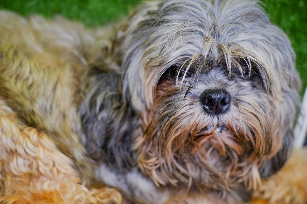 Photograph by John Eric Eudin