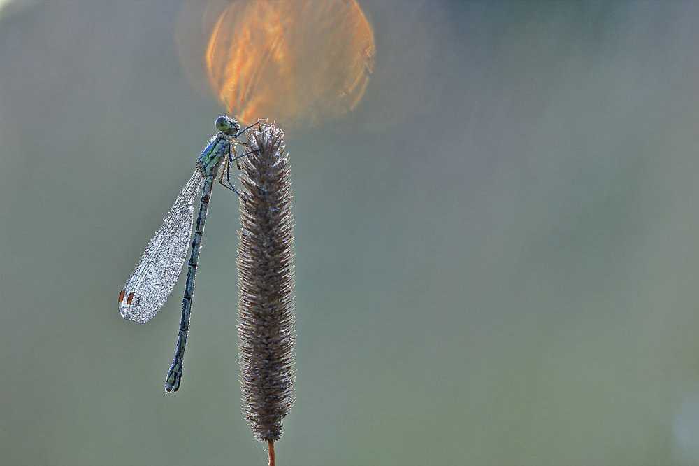 Photograph by Олег Резенов