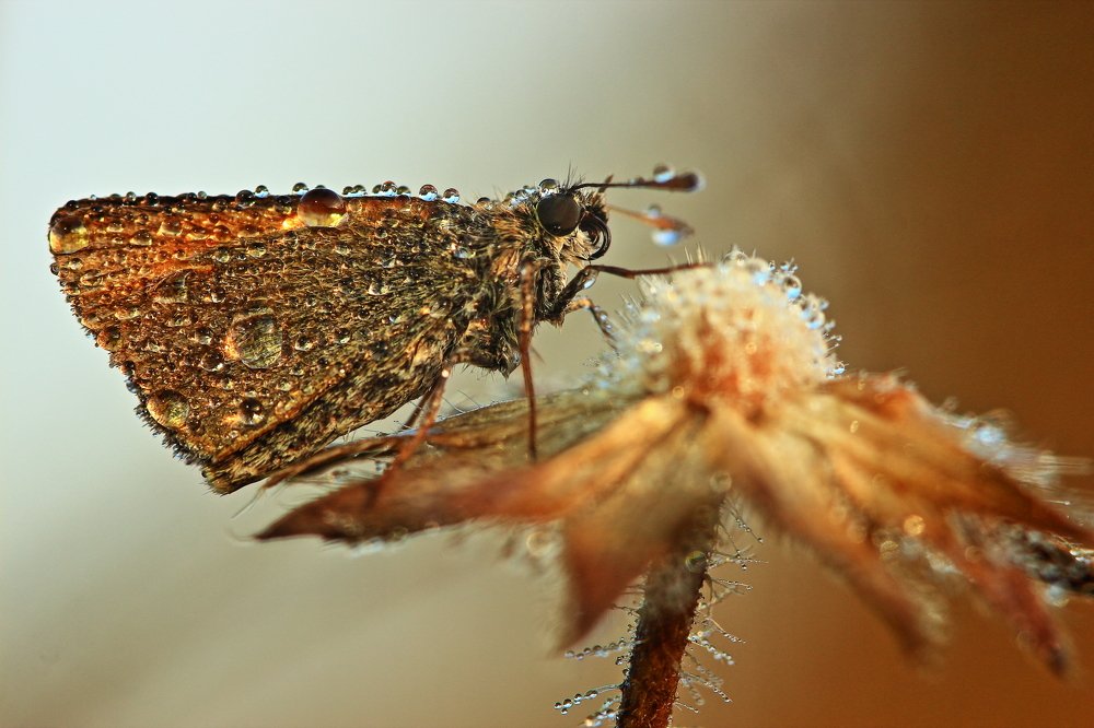 Photograph by Олег Резенов