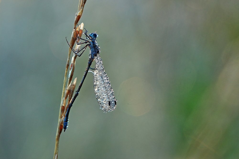 Photograph by Олег Резенов