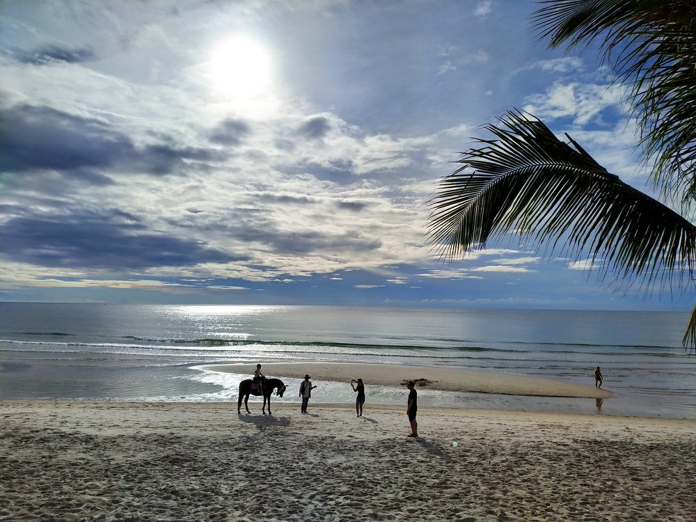 Море. Лошадь. Хуа Хин.