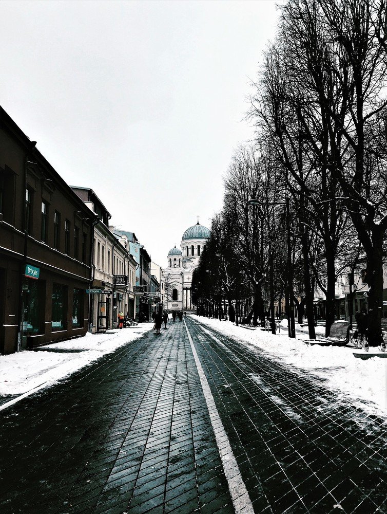 Photograph by Анастасия Лопатина